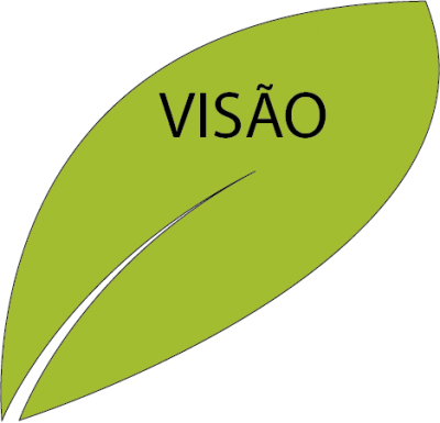 visao